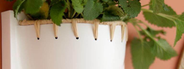 Comment créer un jardin vertical intérieur déco ? | Blog Camif