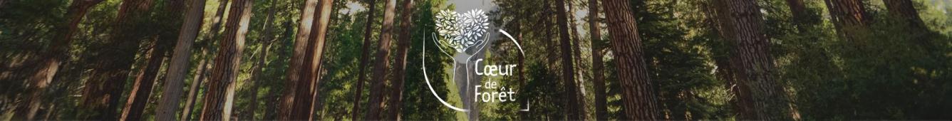 Soutenir la forêt française avec l'Arrondi et Coeur de Forêt | Camif