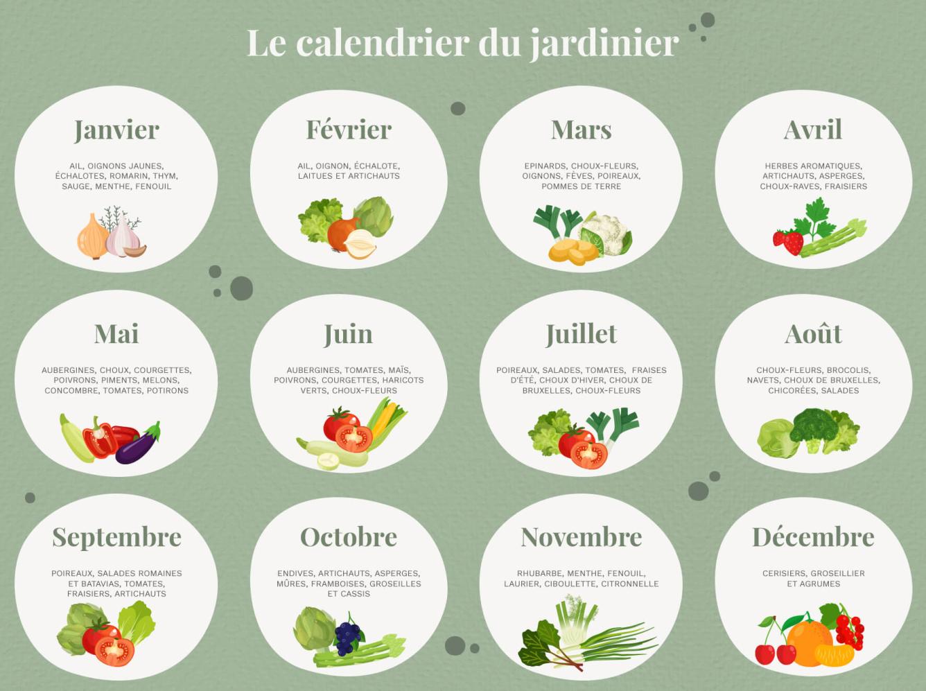 Camif cultiver un potager 