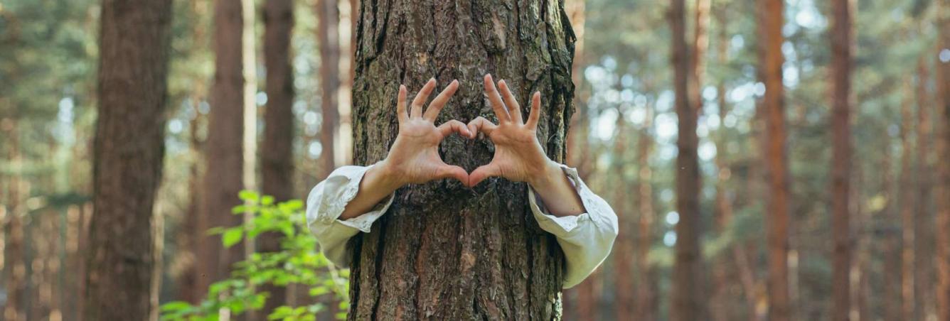 4 clés pour en finir avec l'éco-anxiété | Blog Camif 