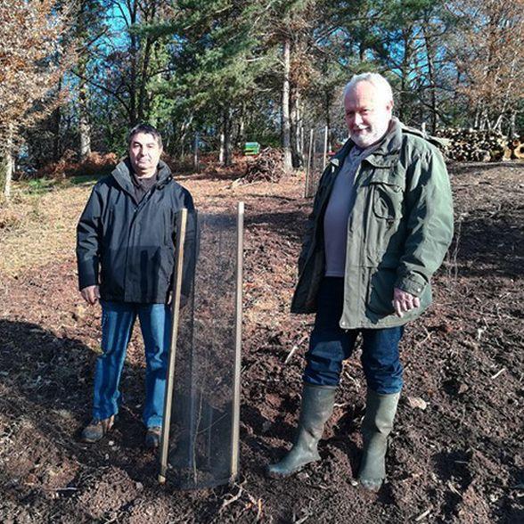 Le projet de soutien à la forêt française de Cœur de Forêt | Camif