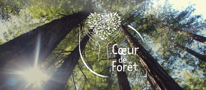 Cœur de Forêt et Camif
