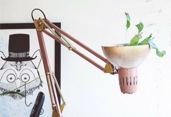 Réutiliser une vieille lampe en guise de pot de fleur | Camif