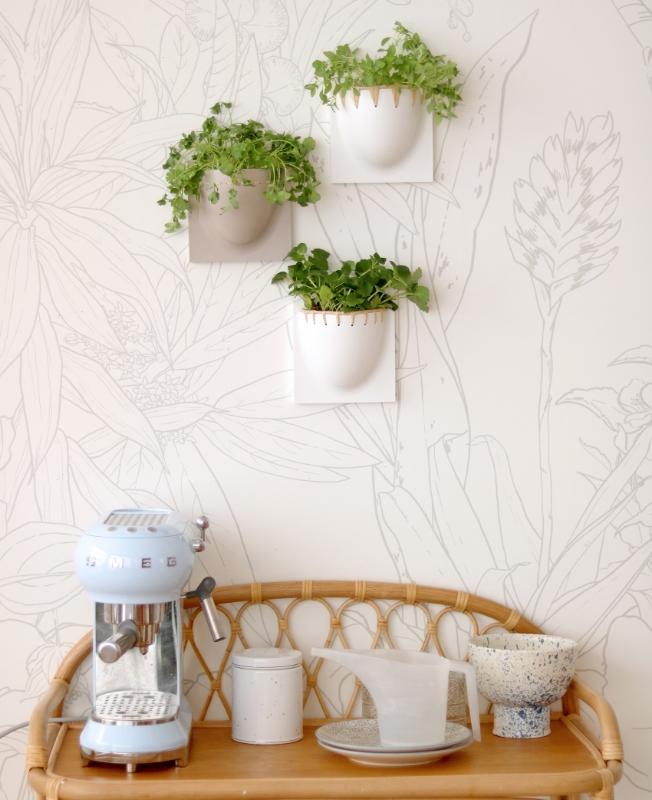 Comment créer un jardin vertical intérieur déco ? | Blog Camif 