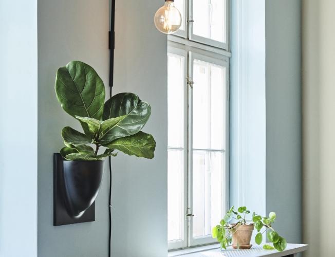 Comment créer un jardin vertical intérieur déco ? | Blog Camif 