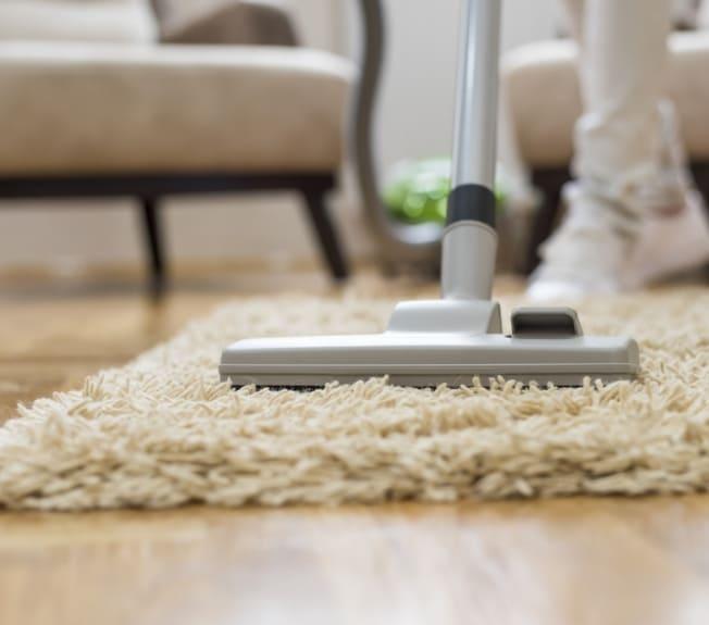 Comment nettoyer son tapis, sa moquette de façon écologique ? | Blog Camif