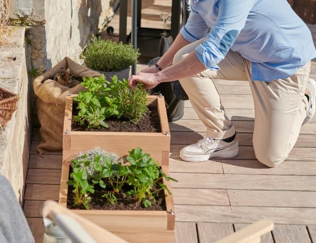 Quelles sont les étapes pour préparer son potager bio ?