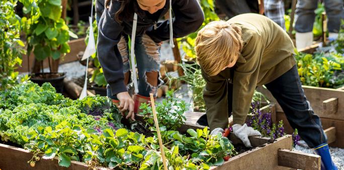 Camif guide achat cultiver potager