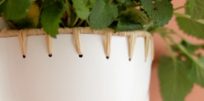 Comment créer un jardin vertical intérieur déco ? | Blog Camif