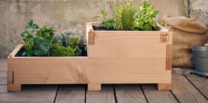 Guide jardinage : cultiver un carré potager en lasagne | Blog Camif