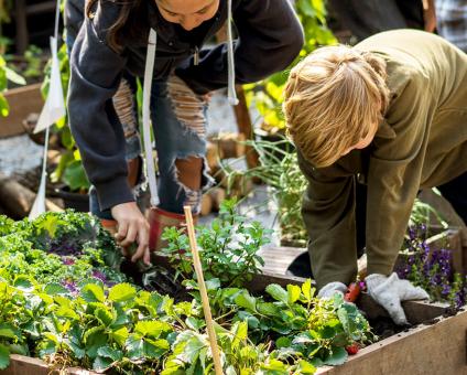 Camif guide achat cultiver potager